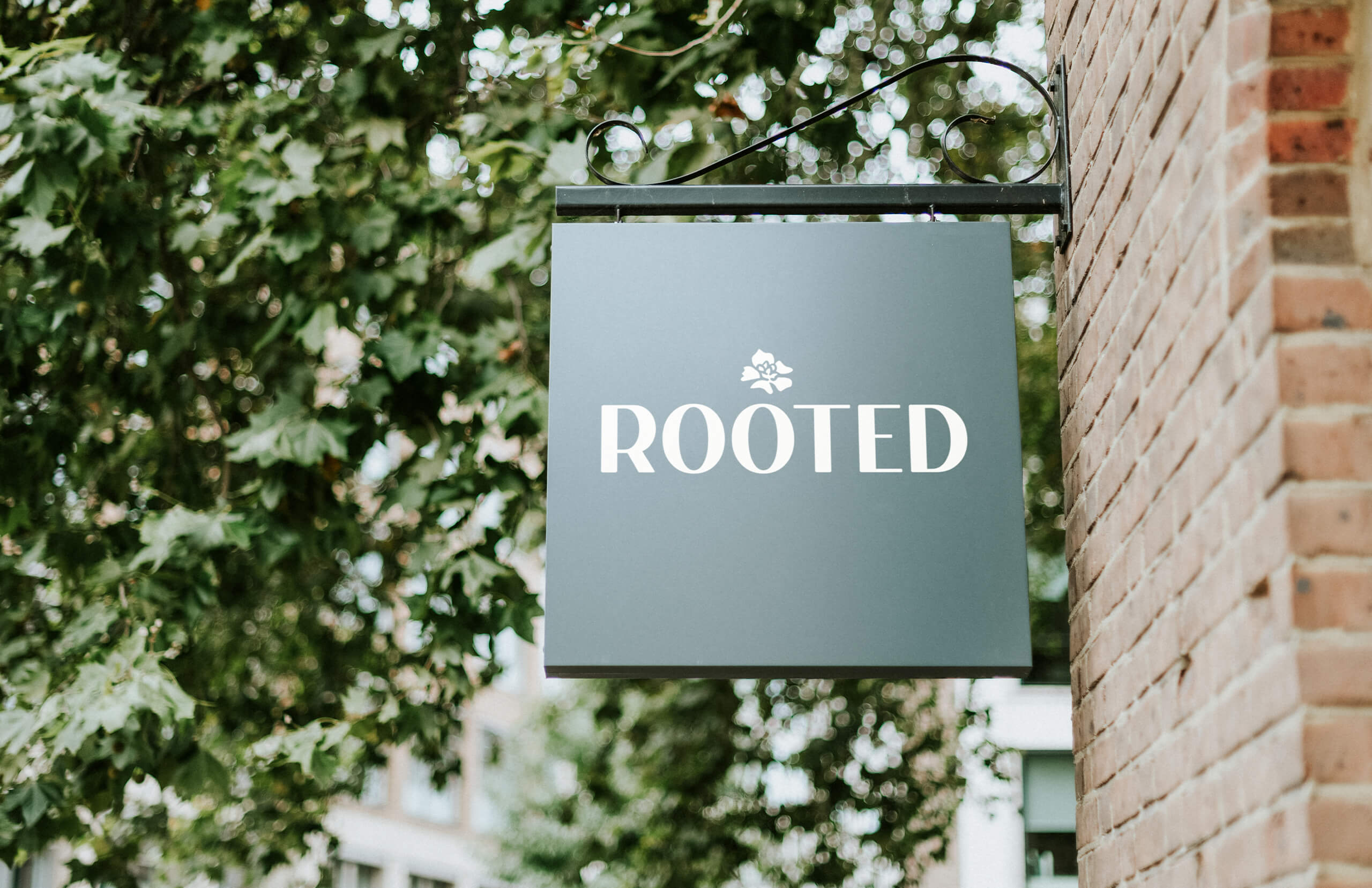 Rooted_thumbnail